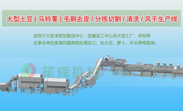 绥江连续式土豆去皮清洗切割风干生产线